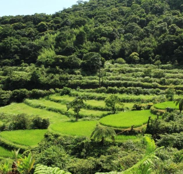 ➮貢寮心故事 愛玩台灣一日深度旅遊 2